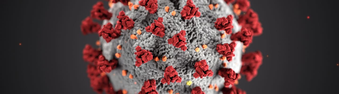 Coronavirus and ME